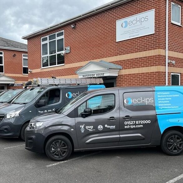 Van Fleet 3 Cropped